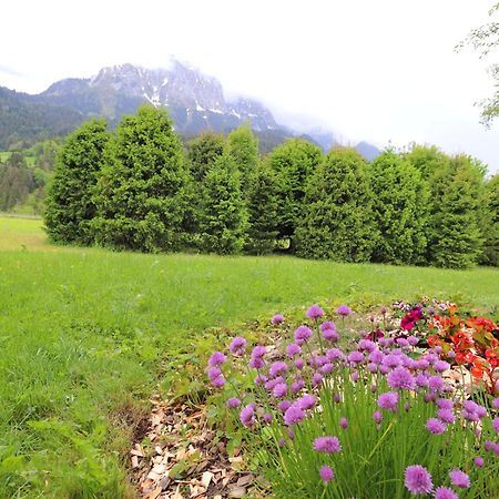 Apartament Dahlia Kalberhoni Zewnętrze zdjęcie